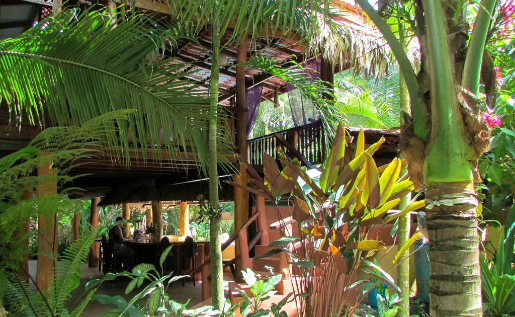 Caribe Town Bungalows Puerto Viejo de Talamanca Εξωτερικό φωτογραφία