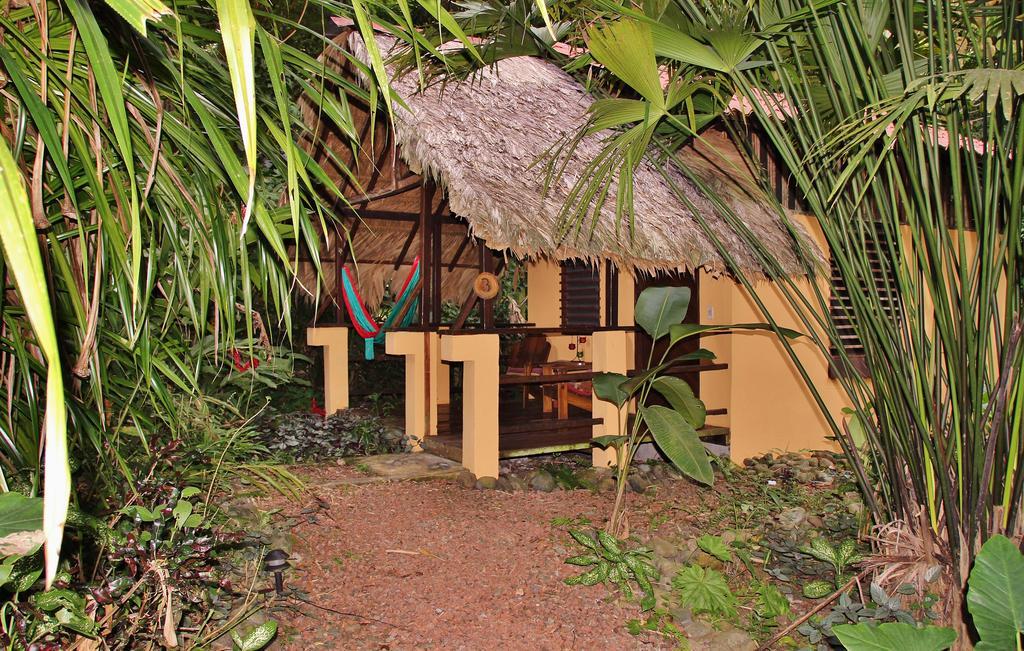 Caribe Town Bungalows Puerto Viejo de Talamanca Δωμάτιο φωτογραφία