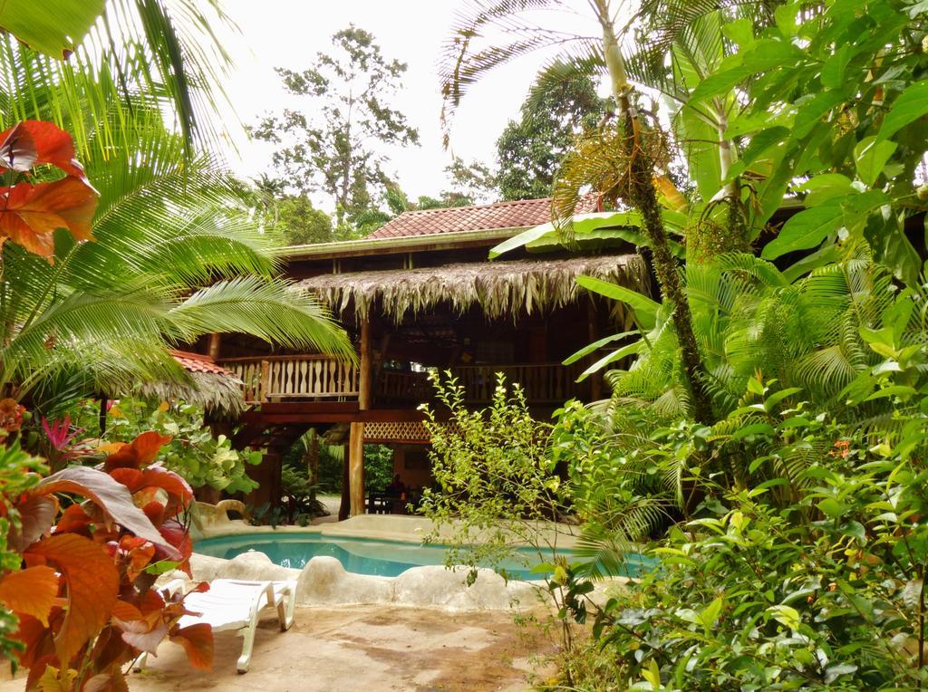 Caribe Town Bungalows Puerto Viejo de Talamanca Εξωτερικό φωτογραφία
