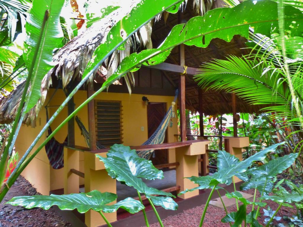 Caribe Town Bungalows Puerto Viejo de Talamanca Δωμάτιο φωτογραφία