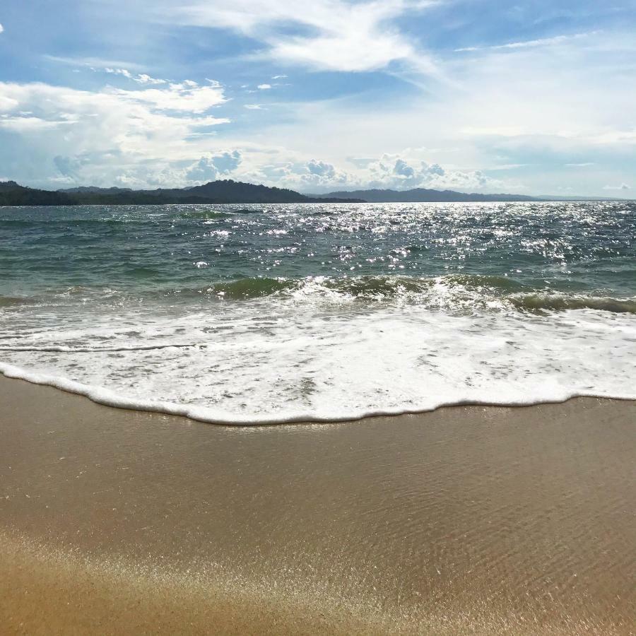 Caribe Town Bungalows Puerto Viejo de Talamanca Εξωτερικό φωτογραφία