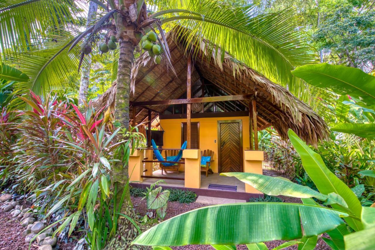 Caribe Town Bungalows Puerto Viejo de Talamanca Εξωτερικό φωτογραφία