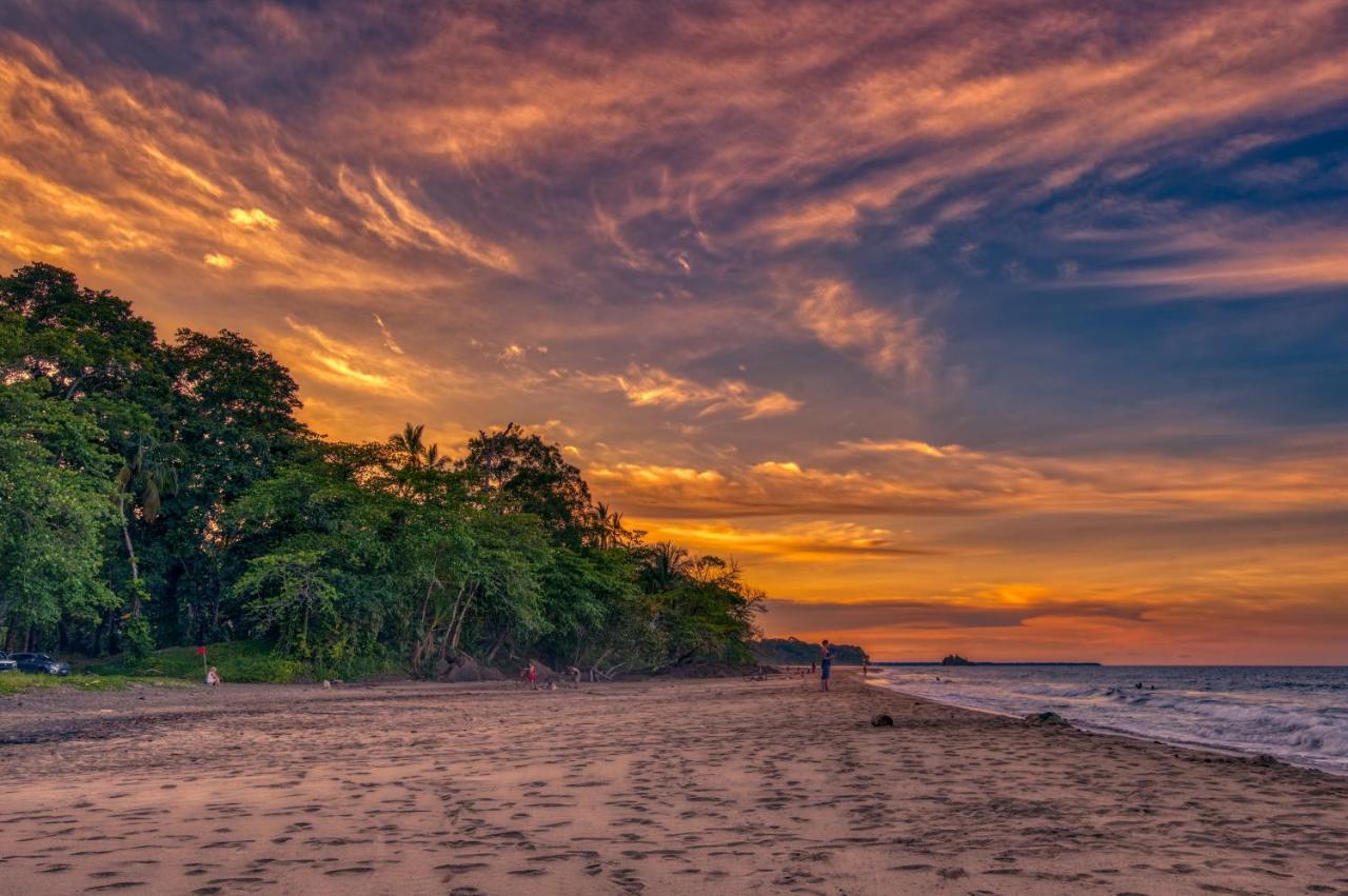 Caribe Town Bungalows Puerto Viejo de Talamanca Εξωτερικό φωτογραφία