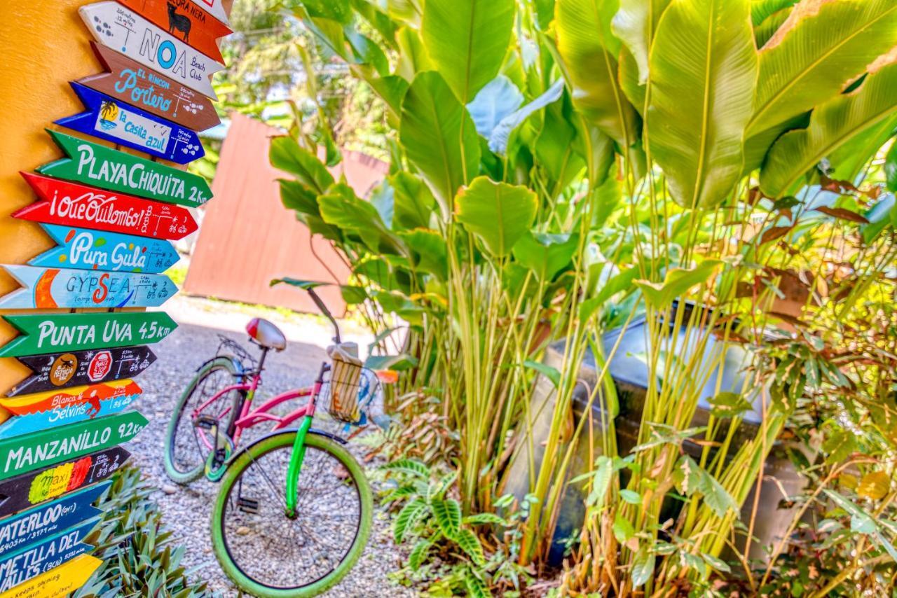 Caribe Town Bungalows Puerto Viejo de Talamanca Εξωτερικό φωτογραφία
