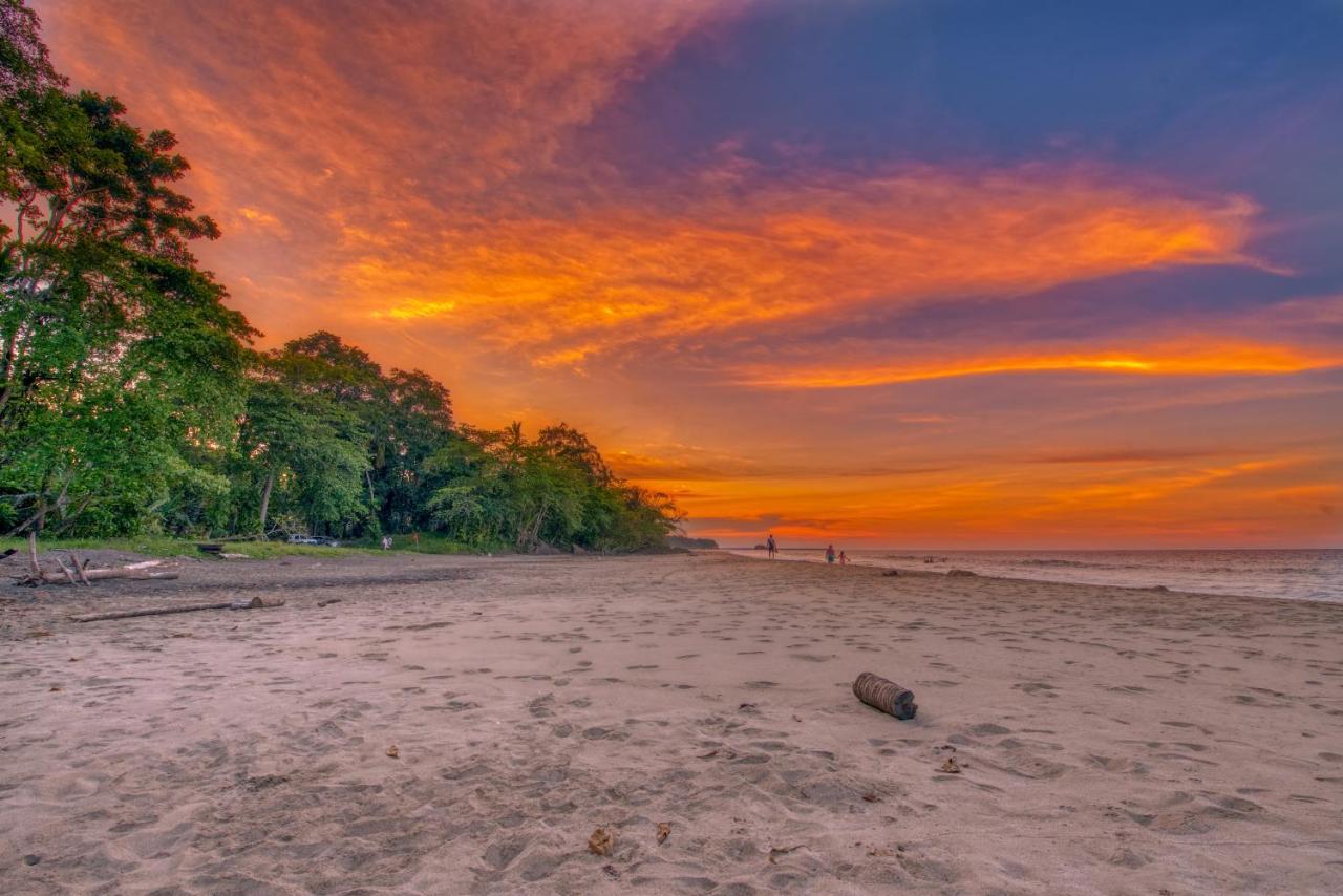 Caribe Town Bungalows Puerto Viejo de Talamanca Εξωτερικό φωτογραφία