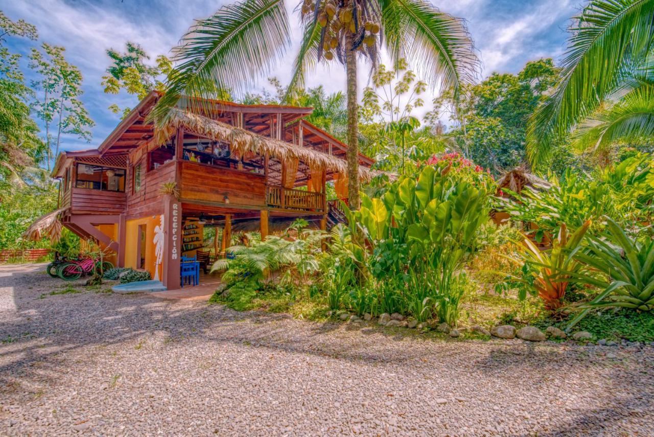 Caribe Town Bungalows Puerto Viejo de Talamanca Εξωτερικό φωτογραφία